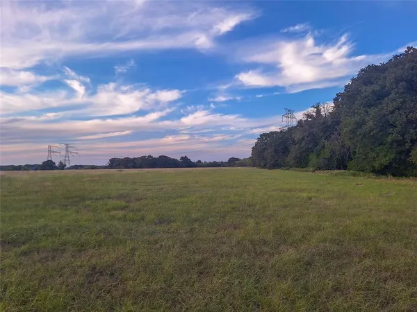 a view of a field with an ocean and trees