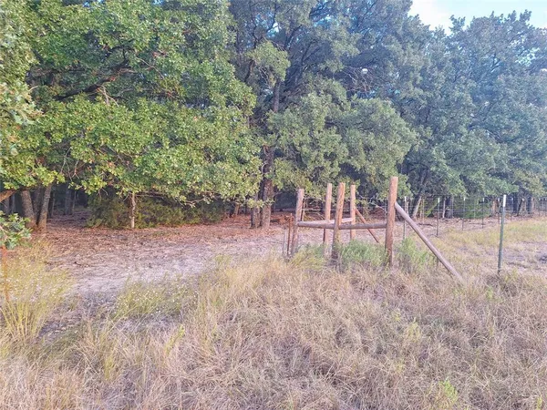 a view of a park with large trees