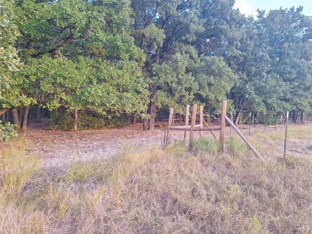 a view of a park with large trees