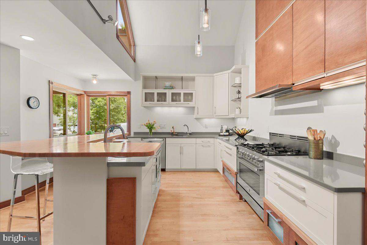 4711 24th Road North Arlington, VA 22207 - Photo 13 of 106 Vaulted ceilings with sky lights.