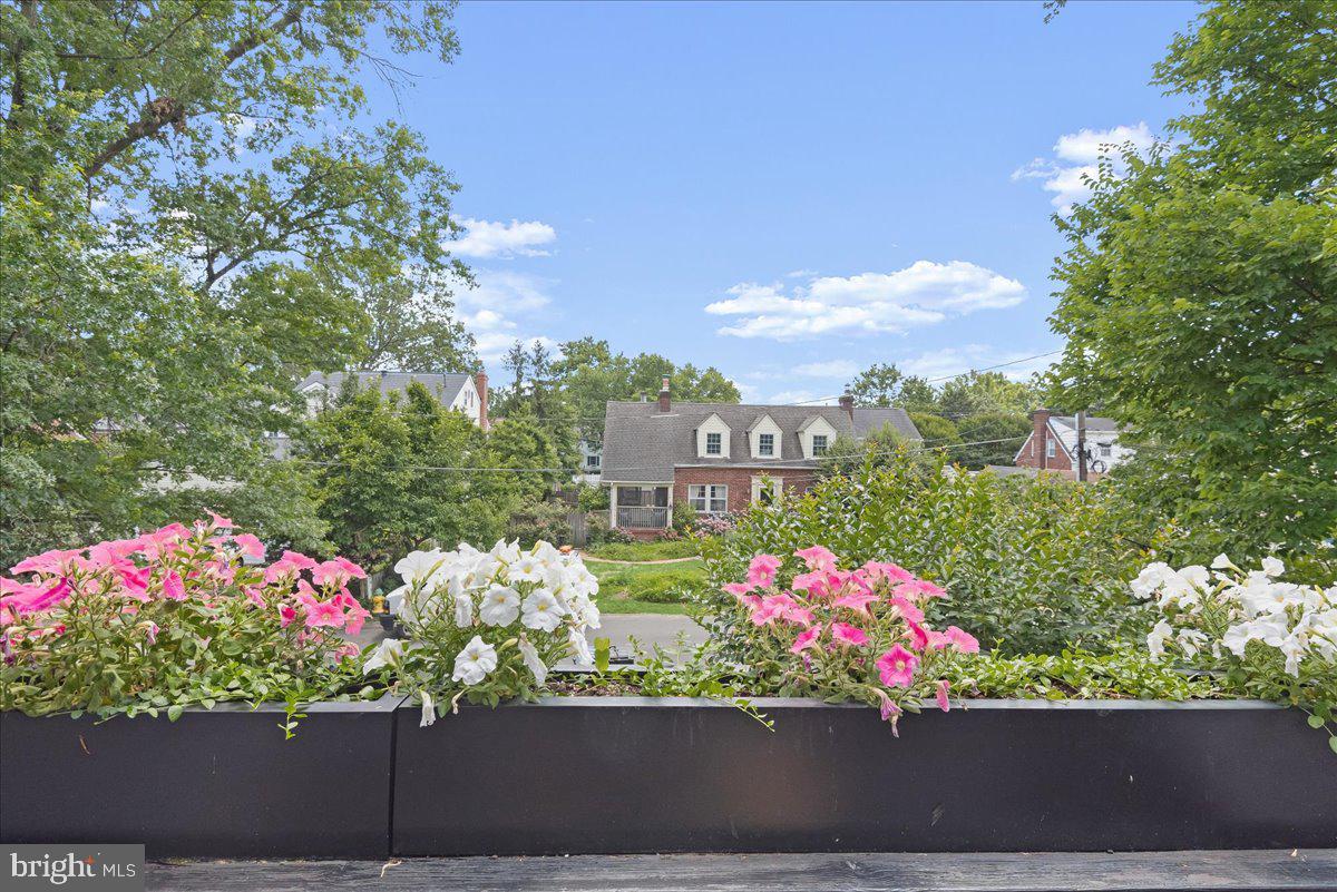 4711 24th Road North Arlington, VA 22207 - Photo 46 of 106 View from deck