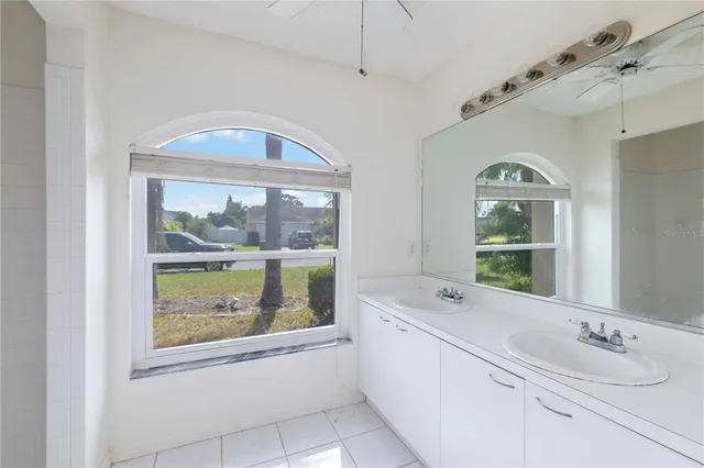 a bathroom with a sink and a large mirror