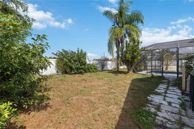 a view of a yard with plants