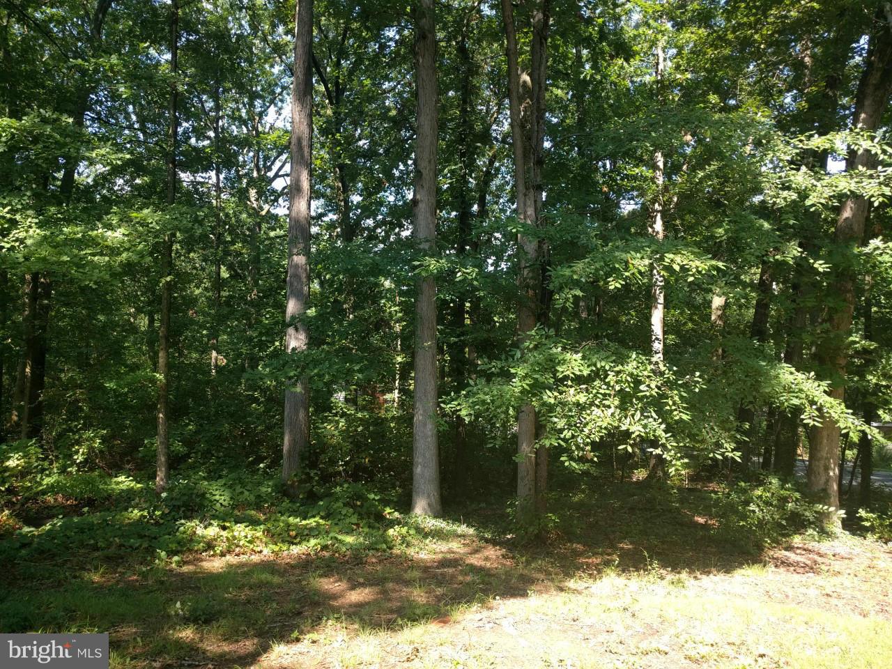 7 Hillside Road, Unit D Greenbelt, MD 20770 - Photo 15 of 15 Exterior (Rear)