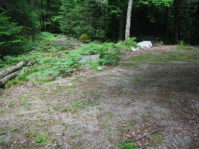 0 Gus Moore Road Blue Hill, ME 04614 - Photo 5 of 8 Land/Lot.
