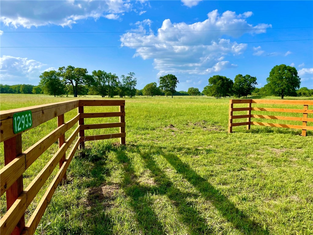 12933 Della Love Road Bryan, TX 77808 - Photo 1 of 1 Gallery Image 1