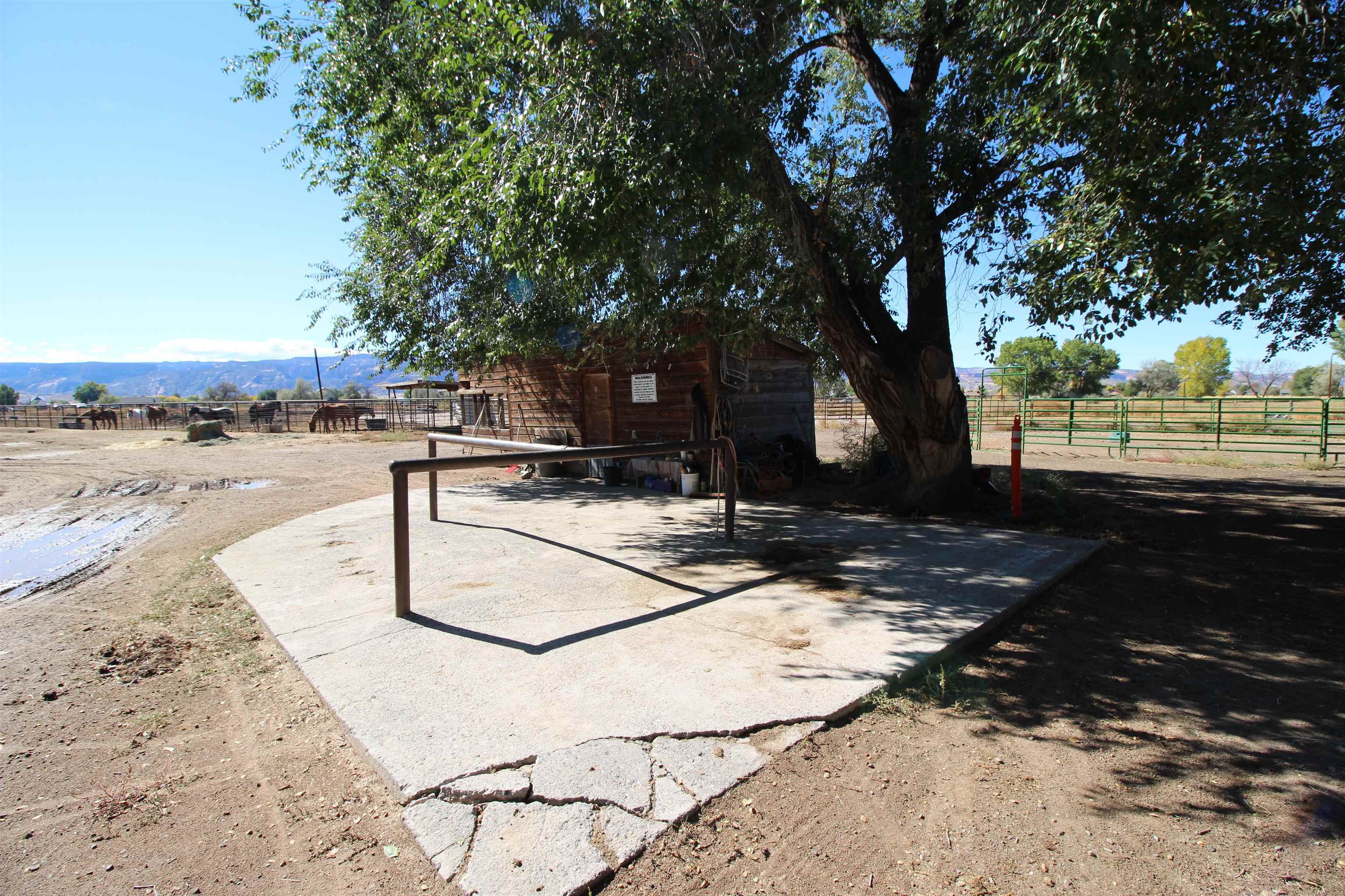 1873 K Road Fruita, CO 81521 - Photo 21 of 26 a view of a street with a tree