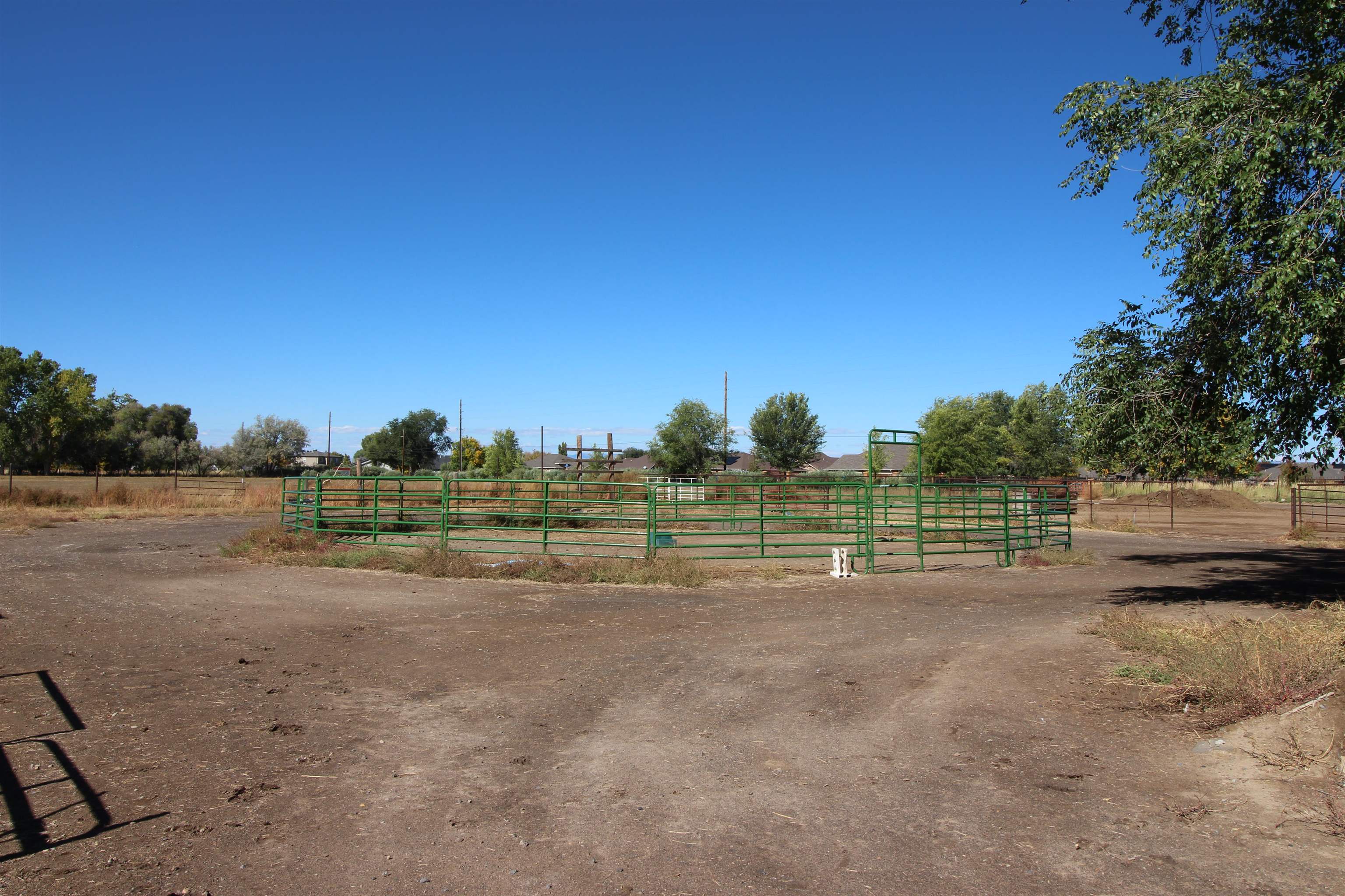 1873 K Road Fruita, CO 81521 - Photo 24 of 26 a view of a field with trees