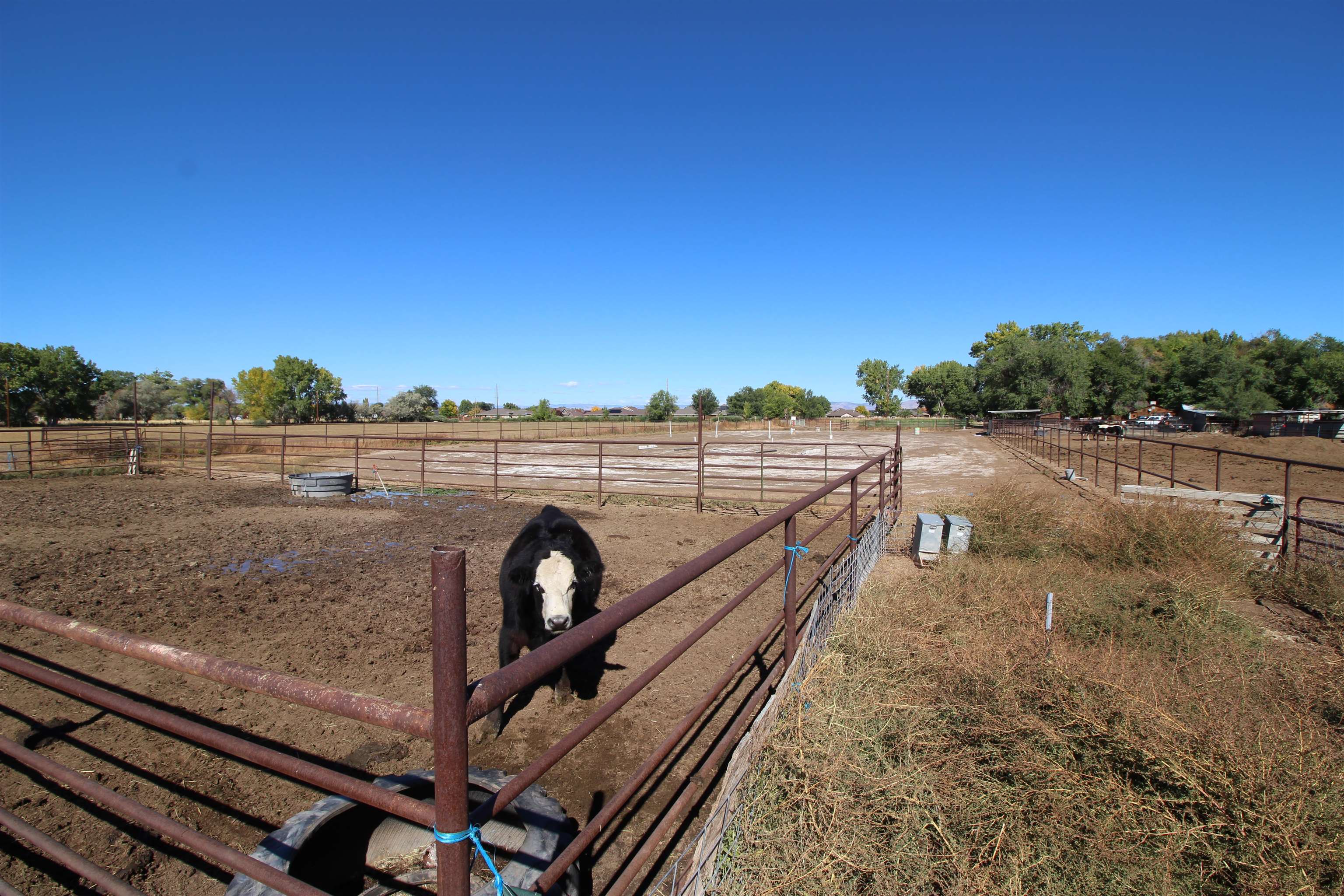 1873 K Road Fruita, CO 81521 - Photo 26 of 26 a view of a pathway with a wrought fence