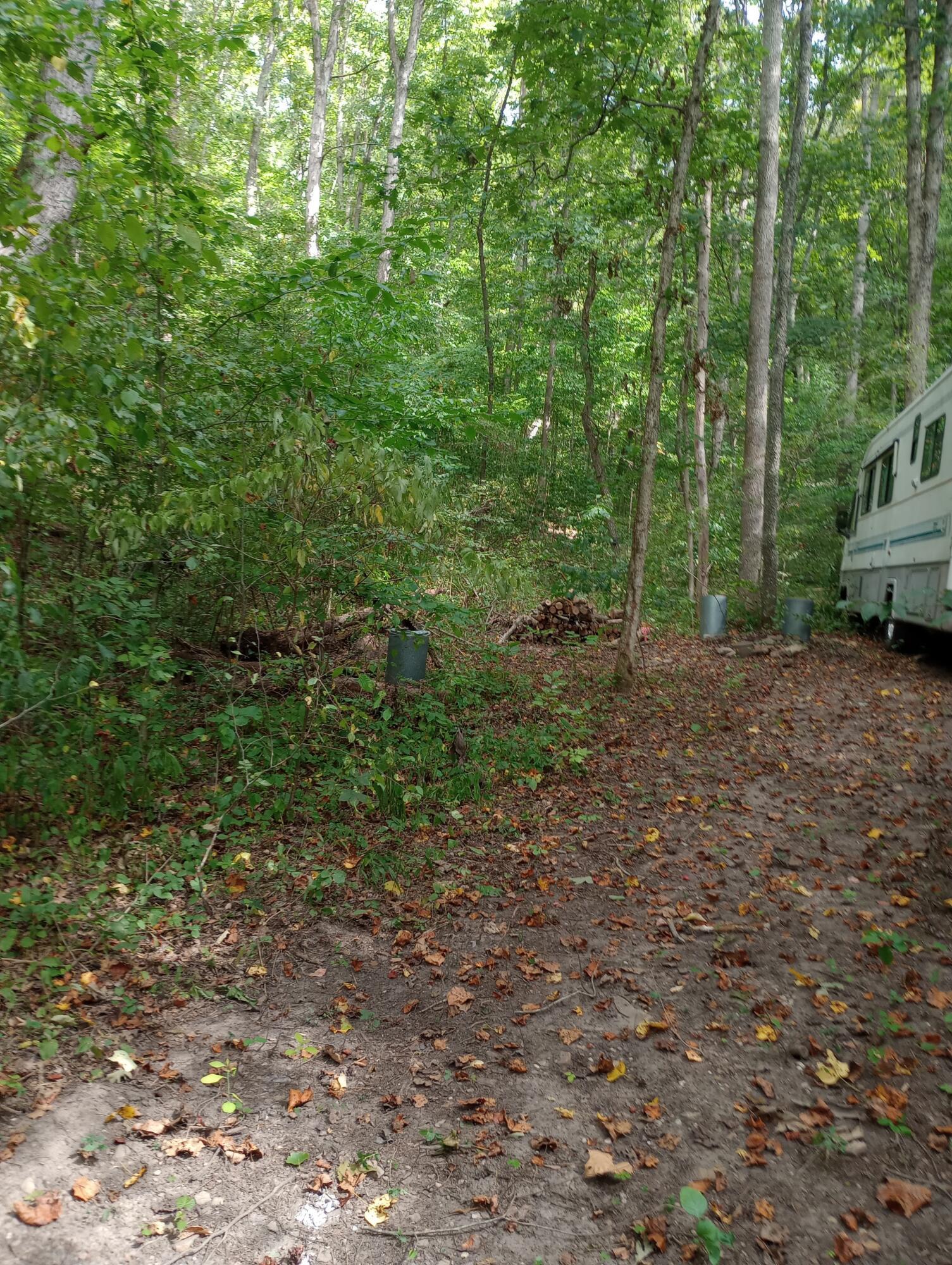 0 Ervin Hollow Road Jackson, OH 45640 - Photo 6 of 7 Erwin Hollow Road 4