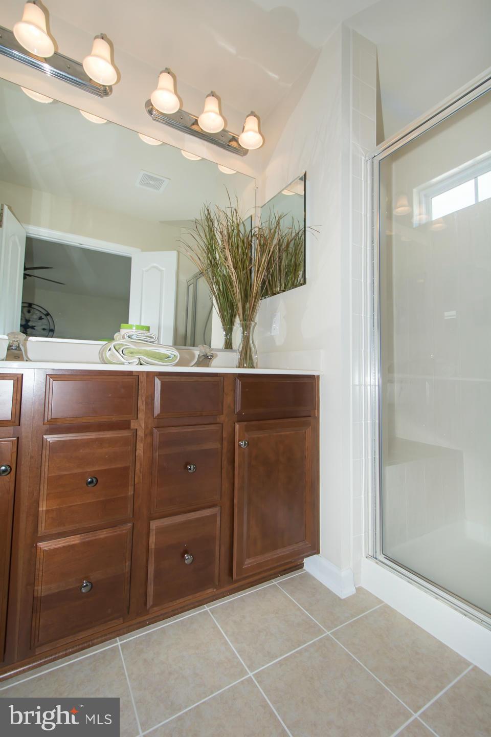 42776 Hay Road Ashburn, VA 20147 - Photo 17 of 30 Bath (Master)