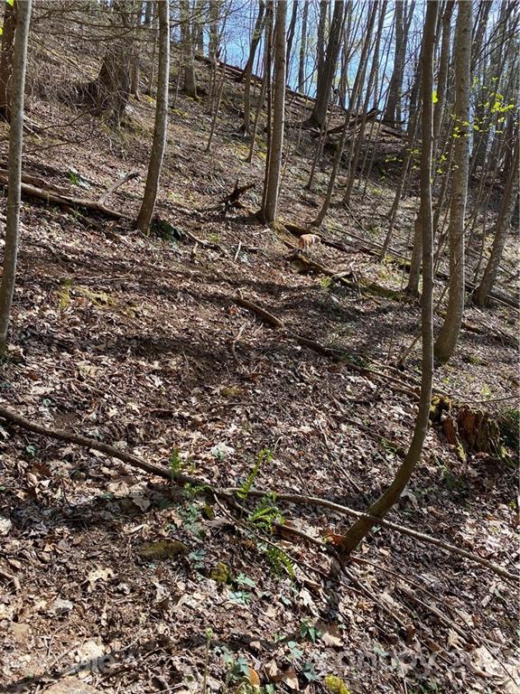 0 Charlie's Road Marshall, NC 28753 - Photo 8 of 19 Gallery Image 8