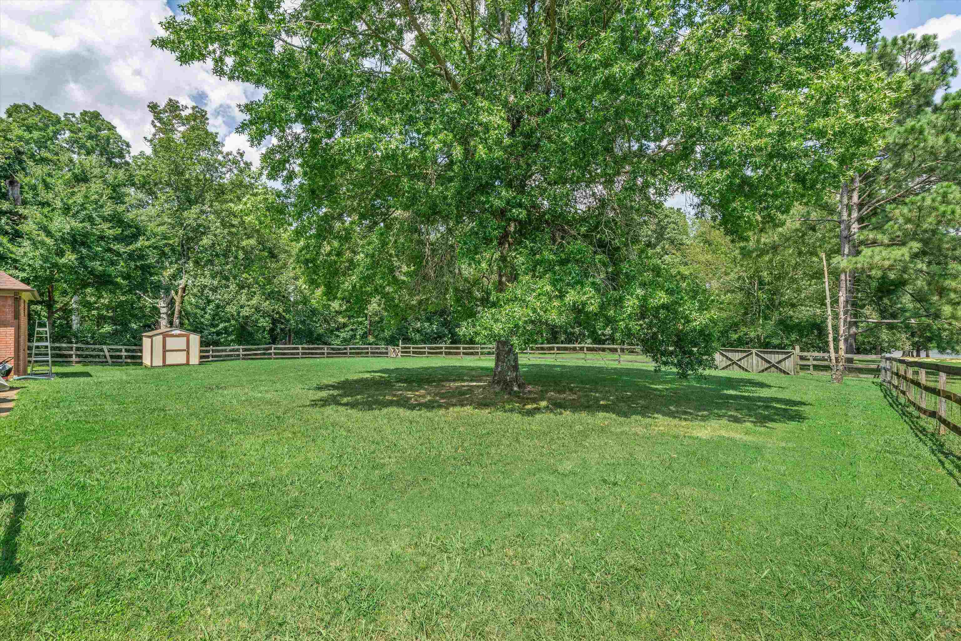 3365 Tomlin Road Somerville, TN 38068 - Photo 26 of 29 a view of a park