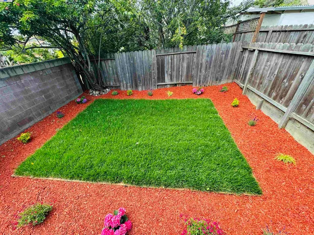 $988,000 | 719 Buchanan Street, Albany, CA 94706