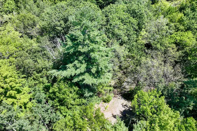 $109,000 | Lot #7-16 Lot#7-16 Bluebird Road, Warren, ME 04864