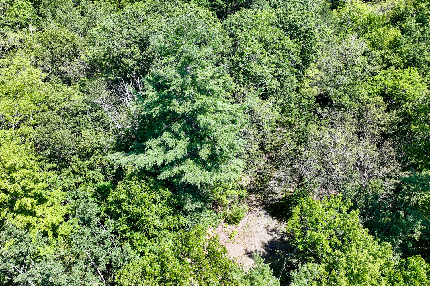 Lot #7-16 Lot#7-16 Bluebird Road Warren, ME 04864 - Photo 27 of 36 Blue Bird Lane 17-(ZF-8400-16438-1-019)