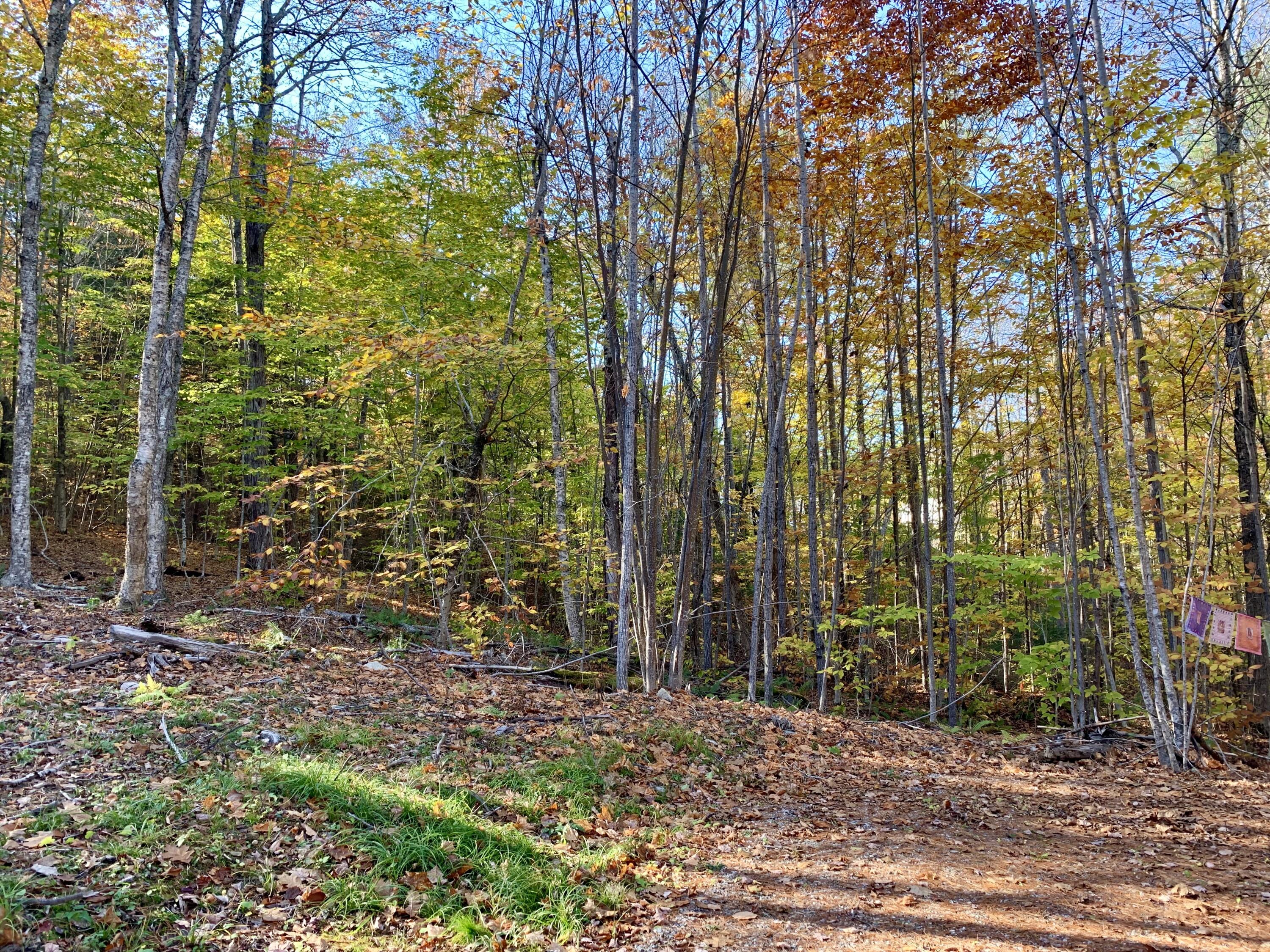 Lot #7-16 Lot#7-16 Bluebird Road Warren, ME 04864 - Photo 3 of 36 IMG_4558