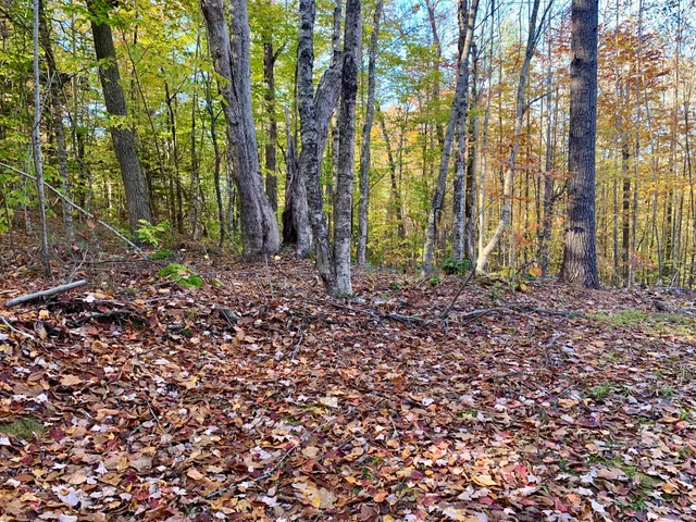 $109,000 | Lot #7-16 Lot#7-16 Bluebird Road, Warren, ME 04864