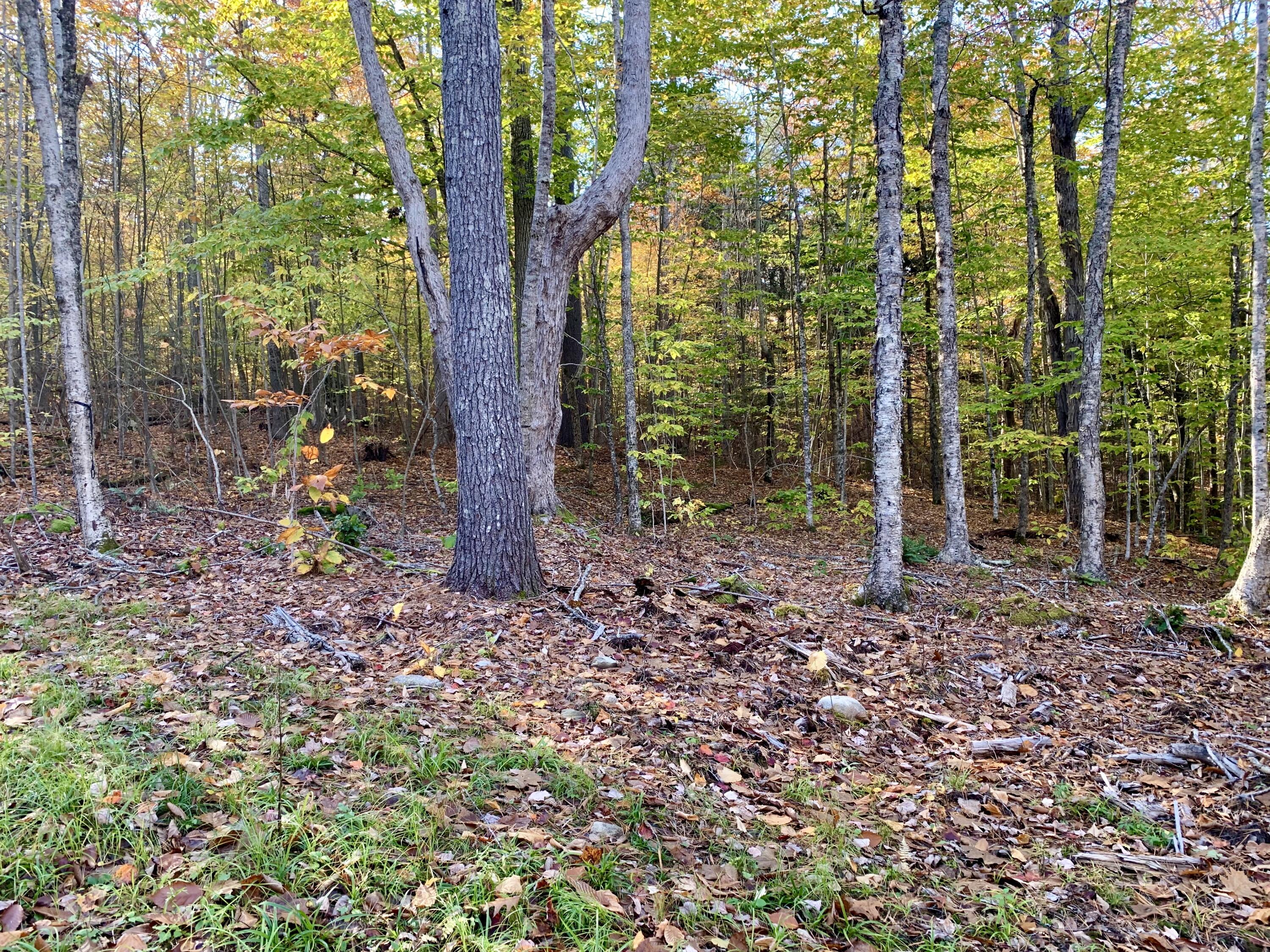 Lot #7-16 Lot#7-16 Bluebird Road Warren, ME 04864 - Photo 5 of 36 IMG_4562