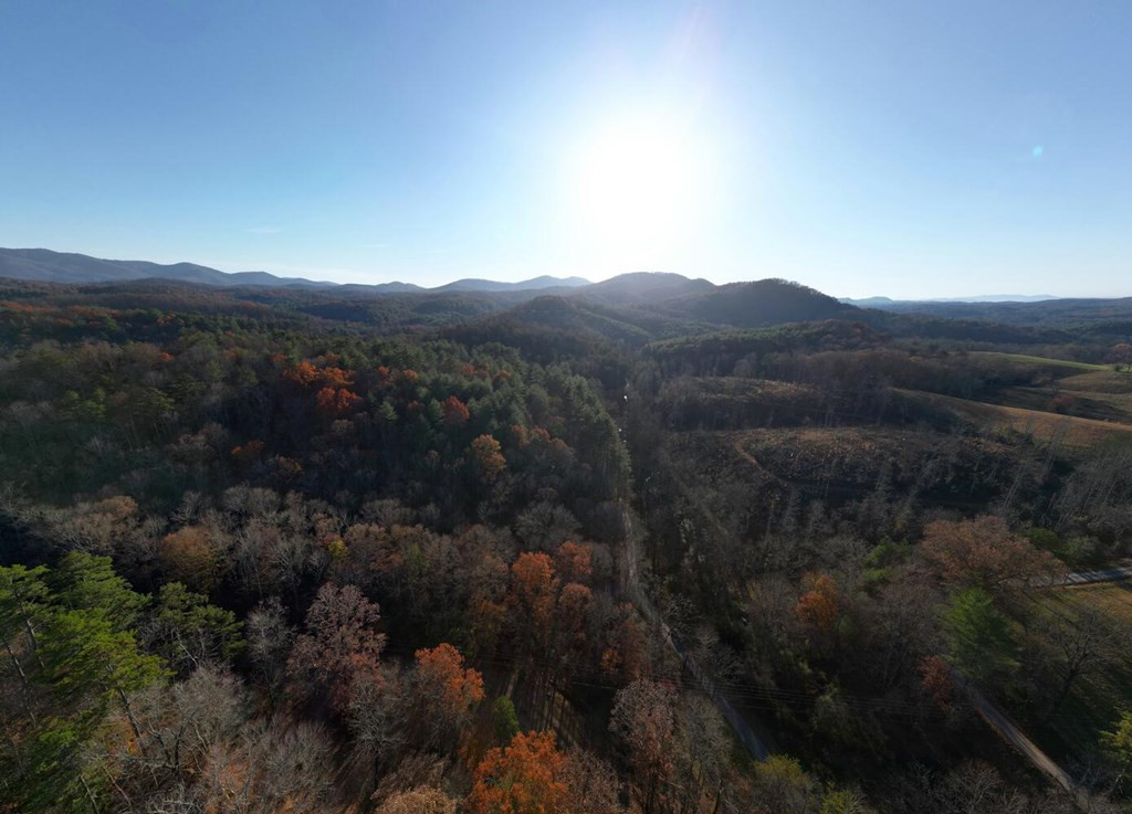 408 Smith Road Brasstown, NC 28902 - Photo 35 of 38