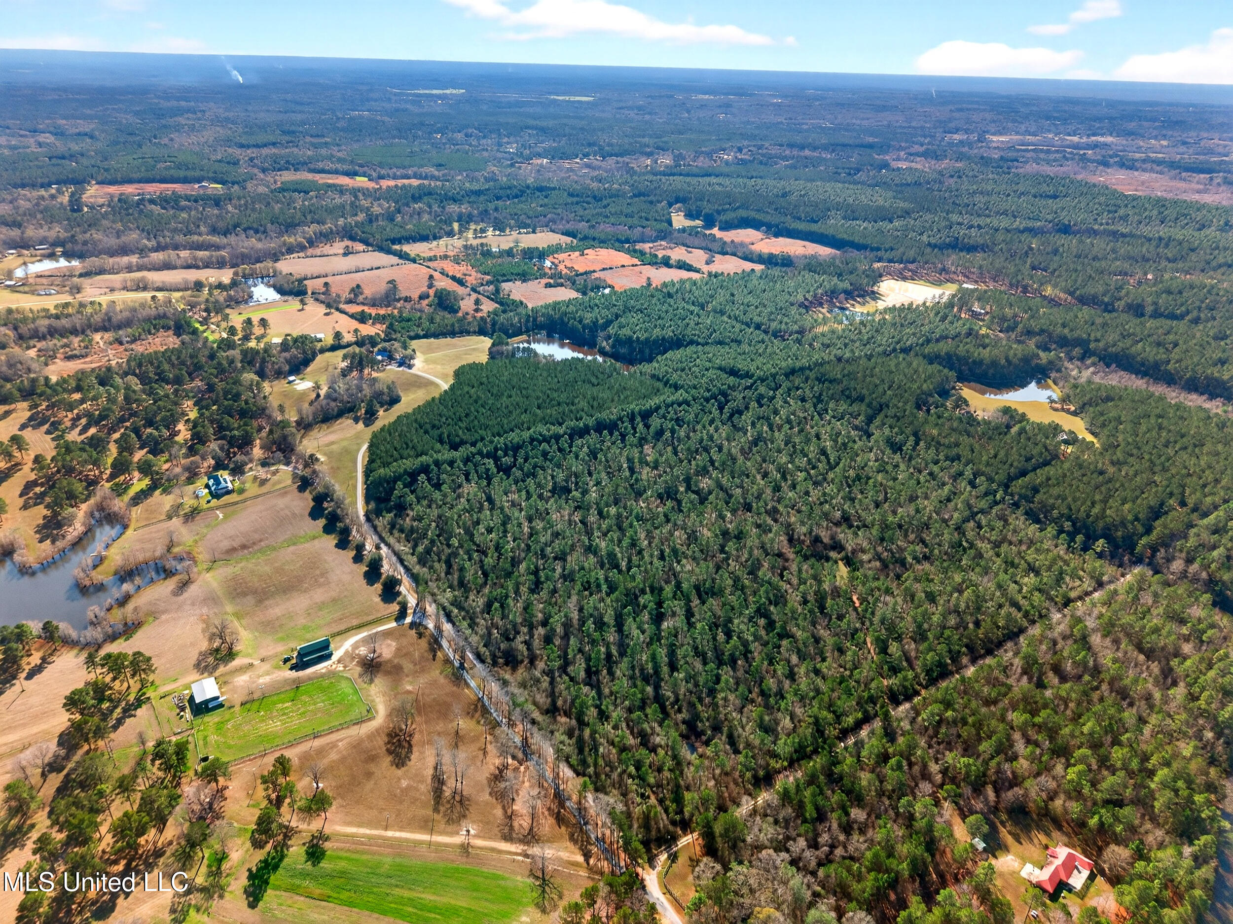 96 View Drive Poplarville, MS 39470 - Photo 71 of 91 73_dji_20260113140353_0086_d