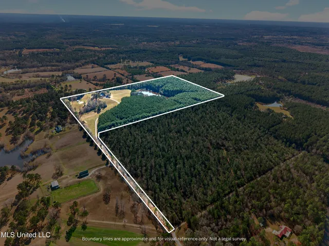 $699,999 | 96 View Drive, Poplarville, MS 39470