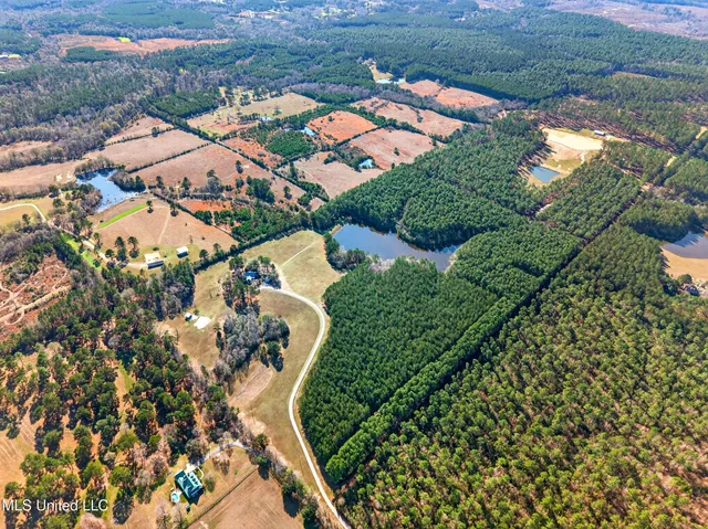 $699,999 | 96 View Drive, Poplarville, MS 39470