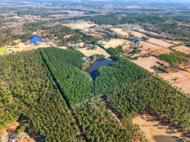 $699,999 | 96 View Drive, Poplarville, MS 39470