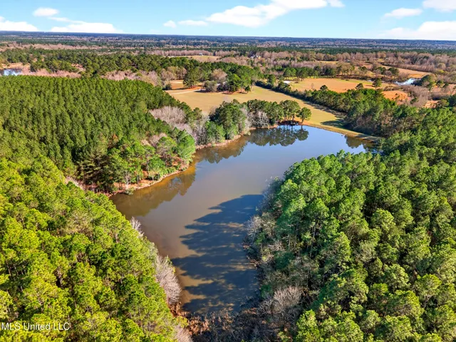 $699,999 | 96 View Drive, Poplarville, MS 39470