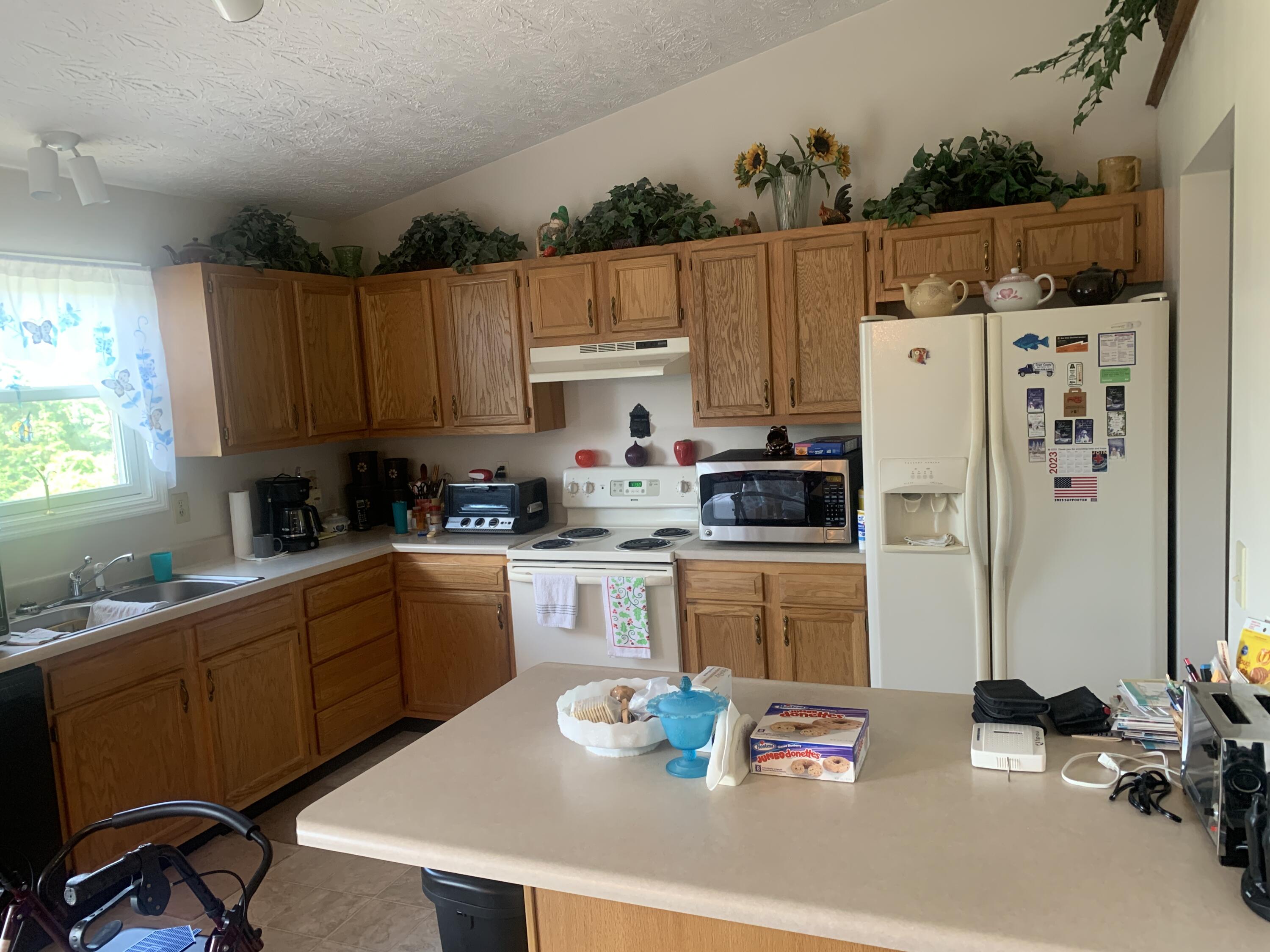 934 Kennedy Ridge Road Falmouth, KY 41040 - Photo 4 of 28 Gallery Image 4