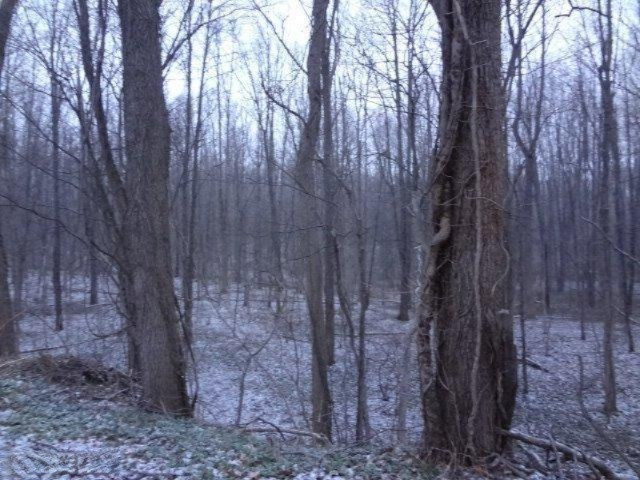 12 West Clear Lake Road Galien, MI 49113 - Photo 1 of 1 Primary Photo