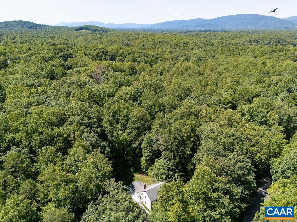 2110 Whippoorwill Road Charlottesville, VA 22901 - Photo 33 of 37 a view of a lush green forest with trees and some houses