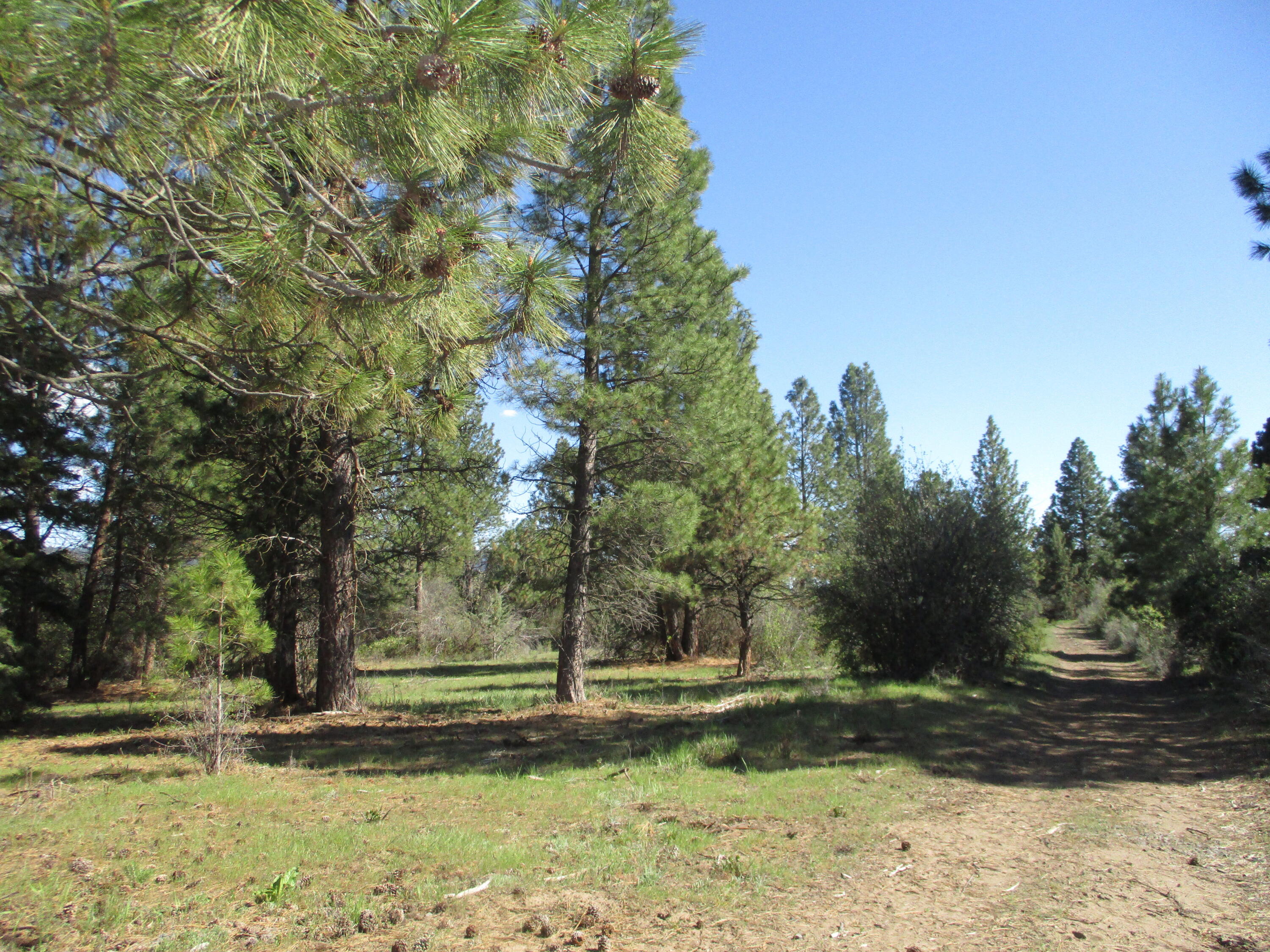 36141 David Street Chiloquin, OR 97624 - Photo 42 of 43 IMG_0977