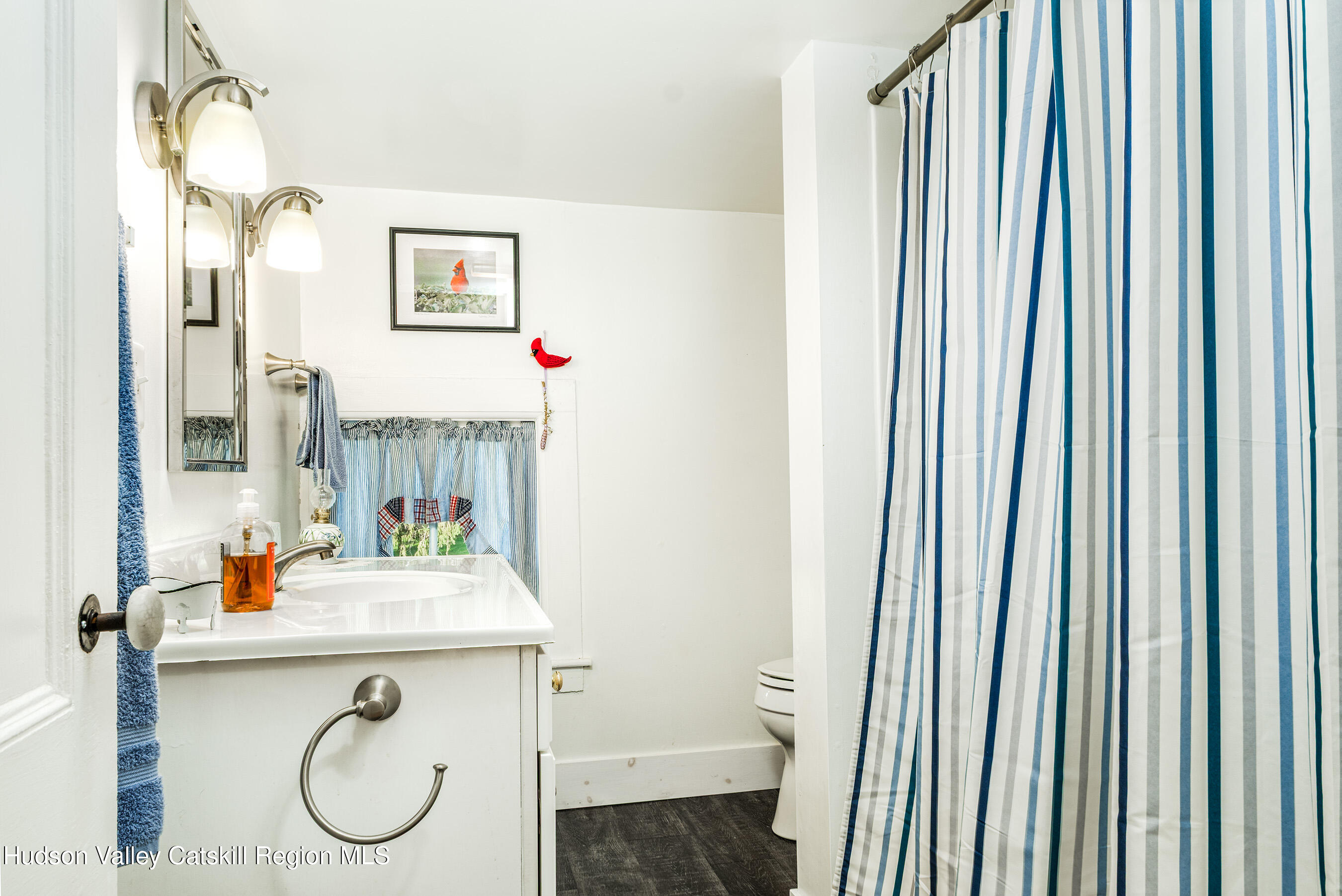 70 Case Hill Road Treadwell, NY 13846 - Photo 35 of 50 a bathroom with a sink toilet and a mirror