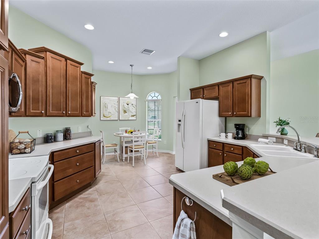 2215 Triggerfish Run The Villages, FL 32162 - Photo 4 of 39