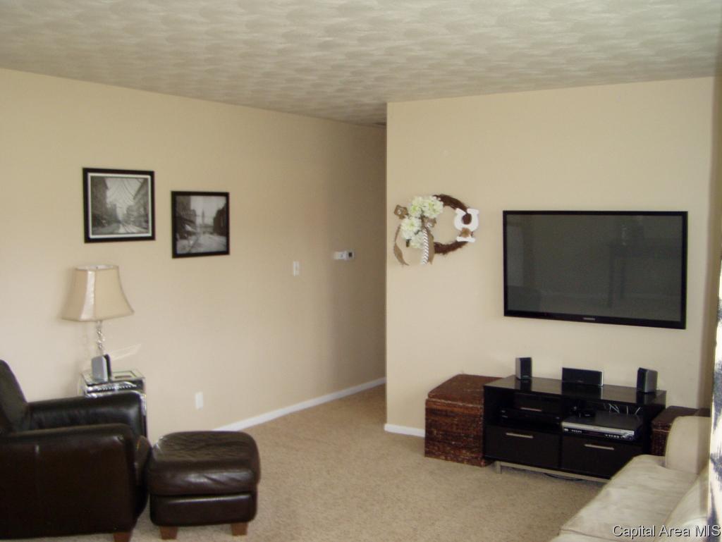 66 Bonnie Brook Road Chatham, IL 62629 - Photo 11 of 21 Gallery Image 11