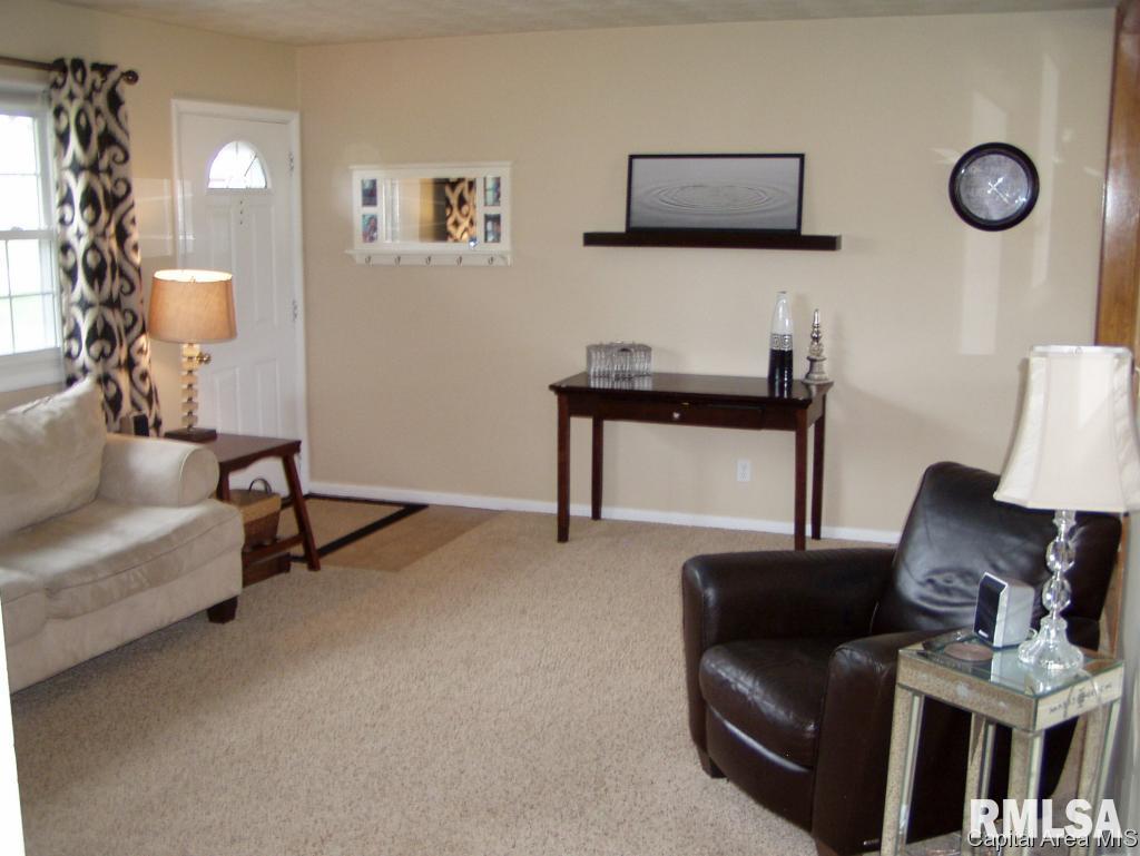 66 Bonnie Brook Road Chatham, IL 62629 - Photo 12 of 21 Gallery Image 12