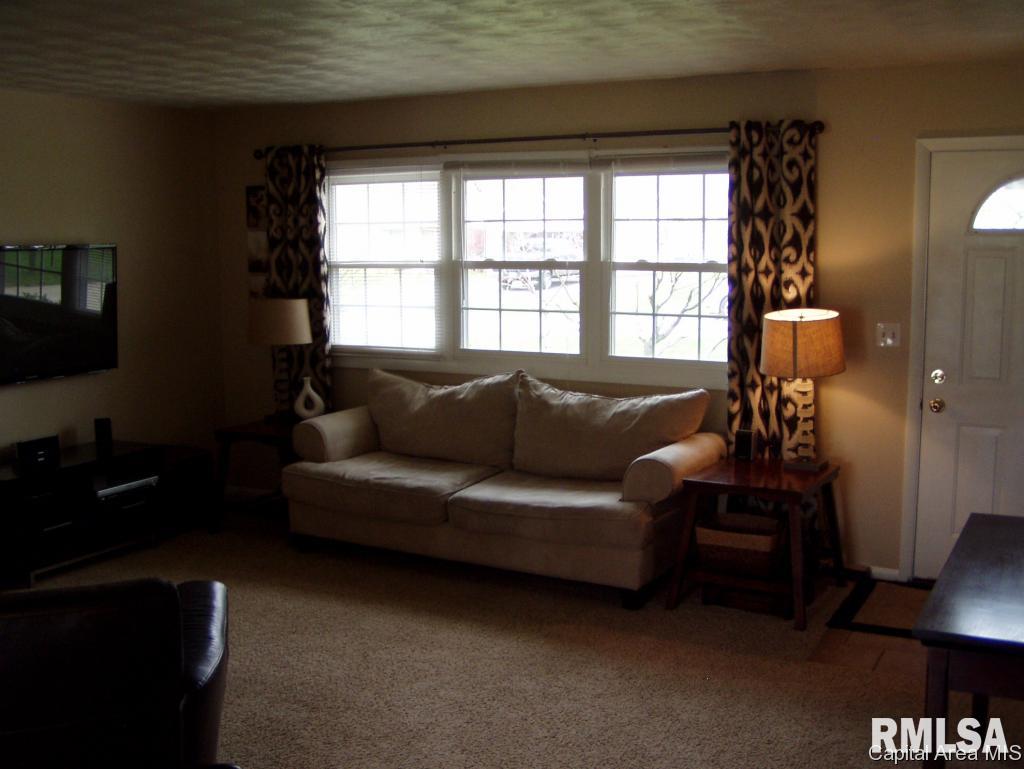66 Bonnie Brook Road Chatham, IL 62629 - Photo 13 of 21 Gallery Image 13