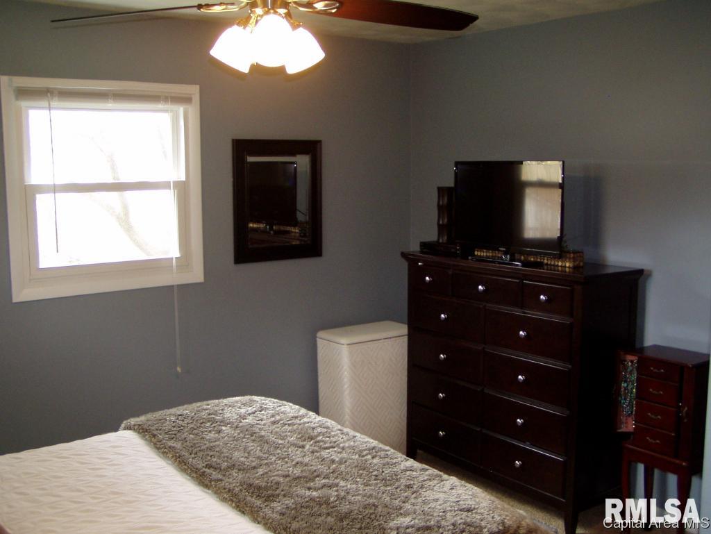 66 Bonnie Brook Road Chatham, IL 62629 - Photo 18 of 21 Gallery Image 18