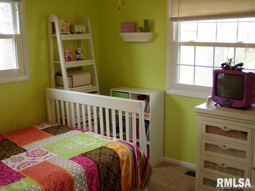66 Bonnie Brook Road Chatham, IL 62629 - Photo 19 of 21 Gallery Image 19