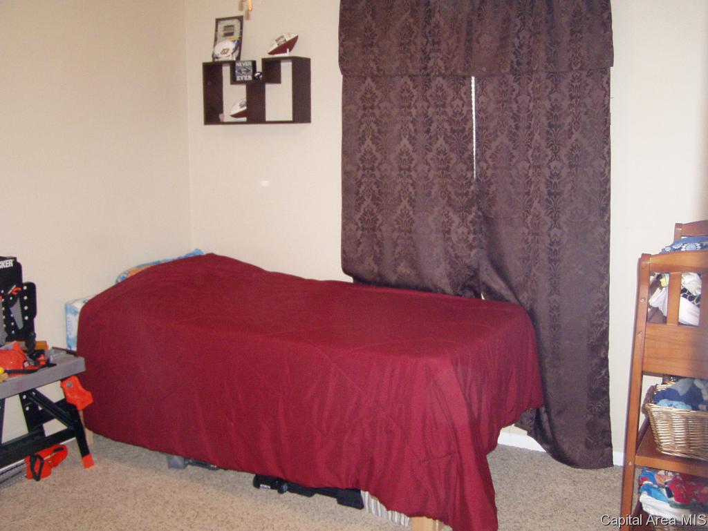 66 Bonnie Brook Road Chatham, IL 62629 - Photo 20 of 21 Gallery Image 20