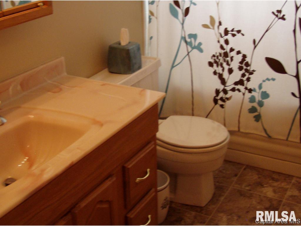 66 Bonnie Brook Road Chatham, IL 62629 - Photo 21 of 21 Gallery Image 21