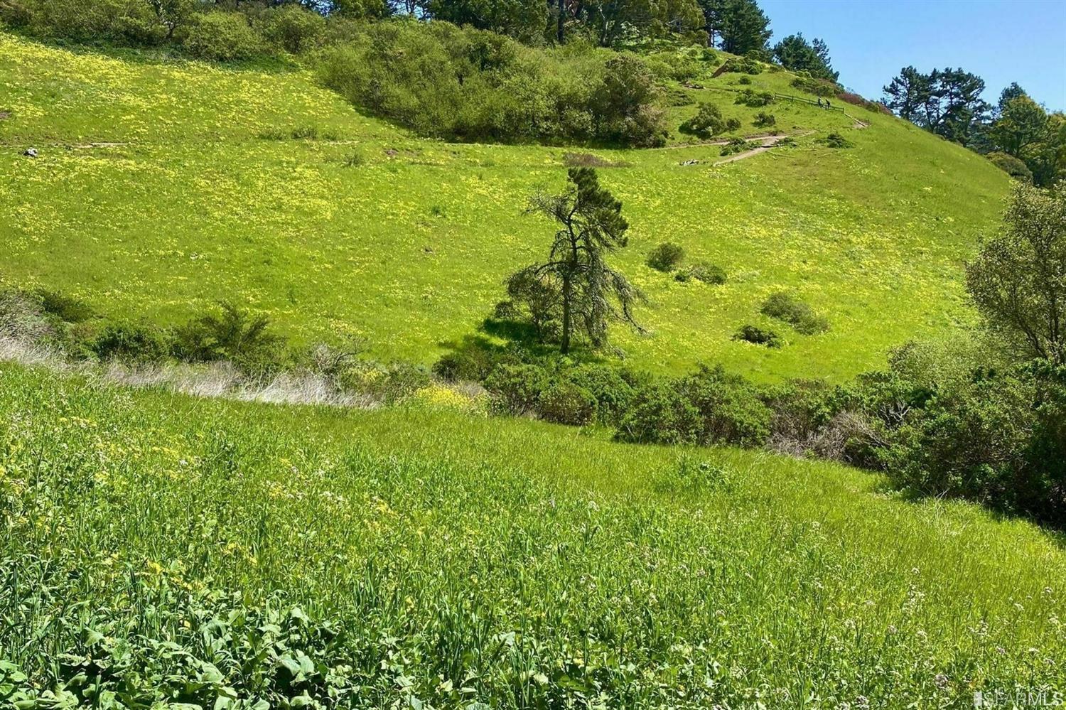 729 Congo Street San Francisco, CA 94131 - Photo 86 of 88