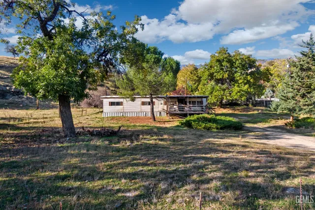a view of a yard with plants