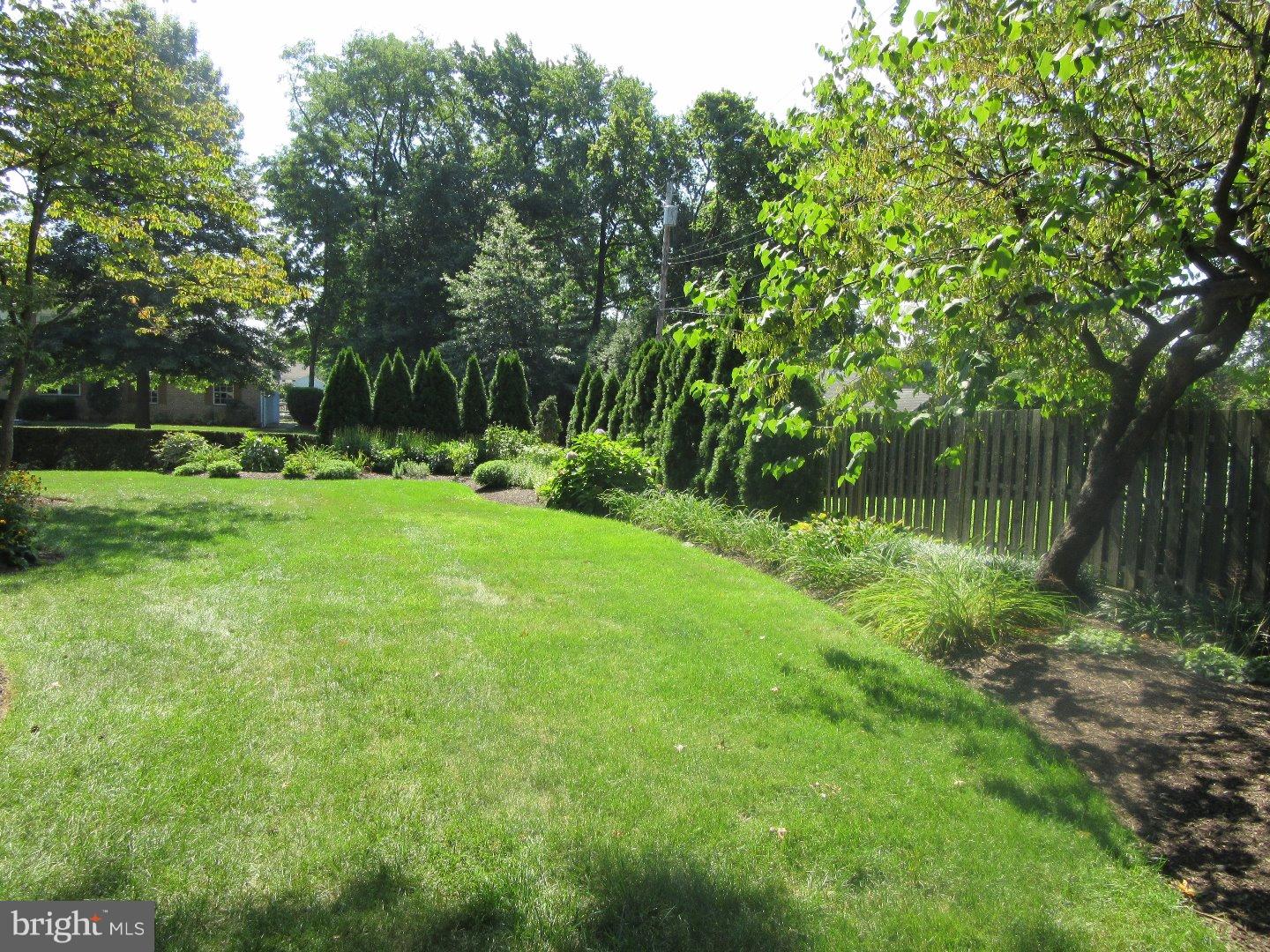 1304 Fairy Hill Road Rydal, PA 19046 - Photo 6 of 25 Back Yard