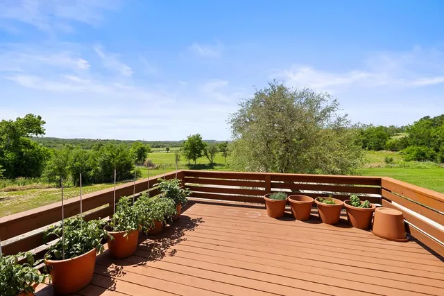 a view of a park with large trees