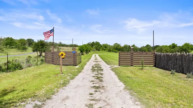 a view of a big yard with a large trees
