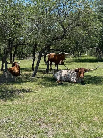 $875,000 | 2124 Crabapple Road, Blanco, TX 78606