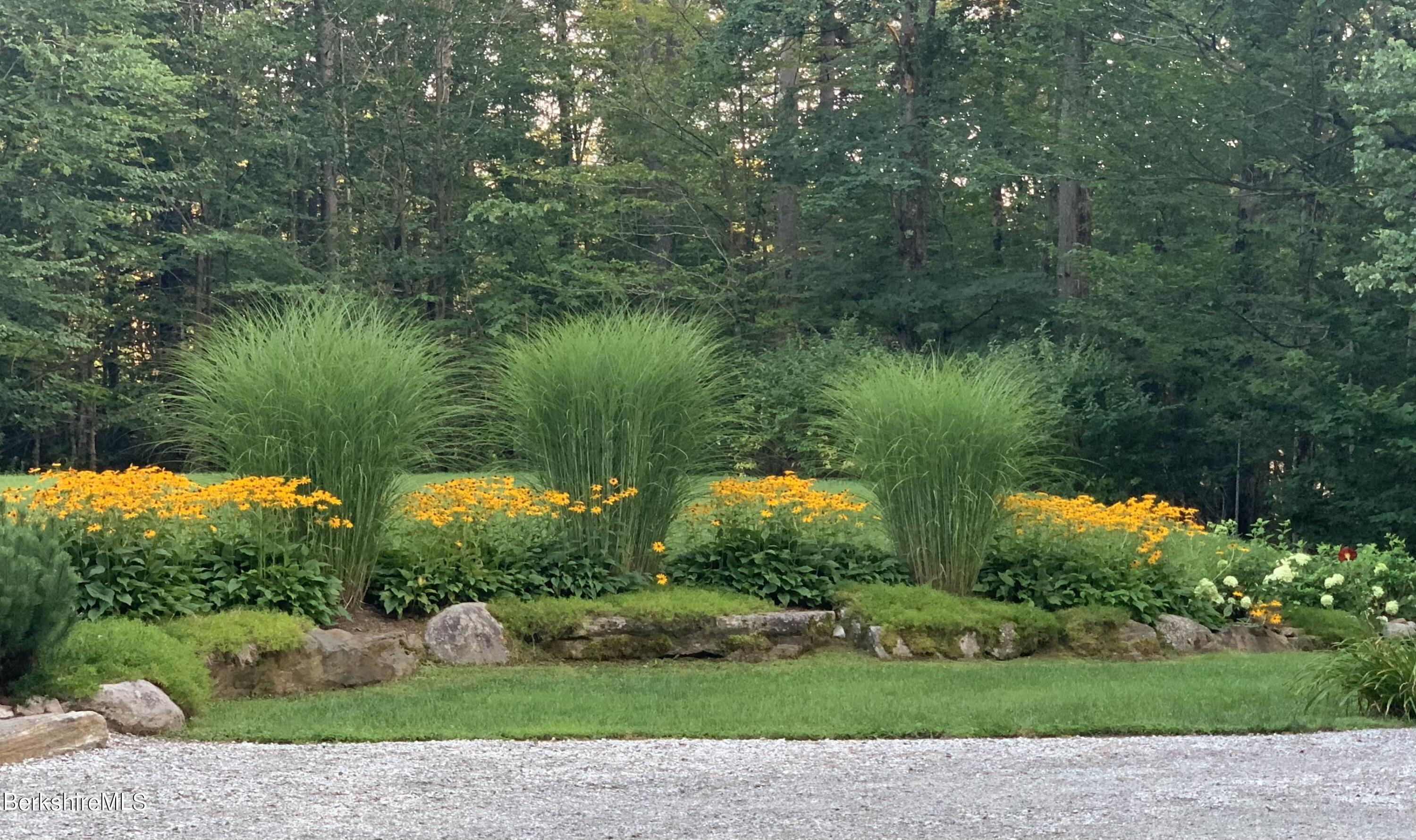 328 Woodmere Road Becket, MA 01223 - Photo 30 of 40 Black-eyed Susans