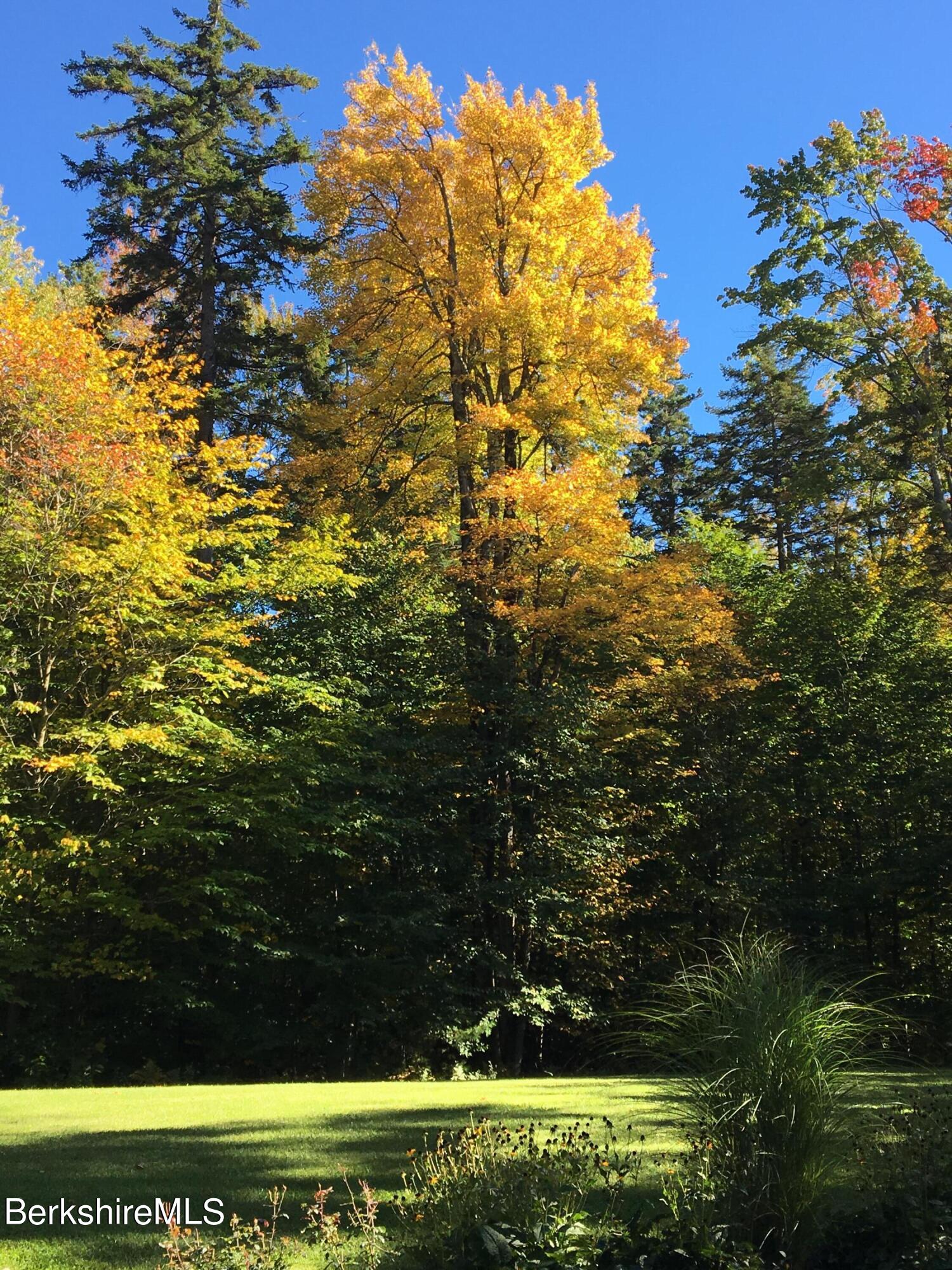 328 Woodmere Road Becket, MA 01223 - Photo 32 of 40 Fall foliage at Woodmere